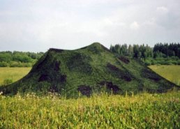 Военные (армейские) маскировочные сети в интернет-магазине в Уфе, купить маскировочную сеть с доставкой картинка 106