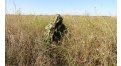 Маскировочный халат Taganrog Кикимора – купить по цене 3550 руб. в интернет-магазине в городе Уфа картинка 13